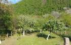 Teren intrare Herculane,E 70 Herculane-Orsova - 4
