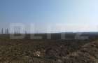 Teren 10 000mp, 38ml deschidere, Berceni. - 1