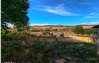 Teren Intravilan, 1030 mp, Zona Hamba-Sura Mare - 5