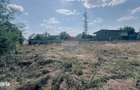 Teren 1200mp, intravilan, Strada Dobrogea Craiova, imprejmuit