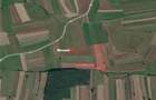 Aproximativ4 ha teren | Casa batraneasca | Beiusele - Bihor - 10
