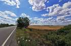 De vanzare teren extravilan, 11,600 mp, Salonta - 8