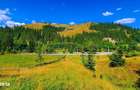 TEREN INTRAVILAN 2000 mp 32 m la drum Acces DN17A, BUCOVINA! - 2