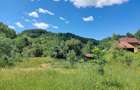 Casa Naturala in Transilvania - 5