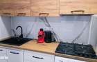 Apartament cu 1 camera de inchiriat Mazepa Rosiori - 14