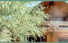 Vile premium , chalet ?i Tree House-uri intr-un Resort Wellness montan - 9