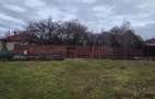 Teren intravilan Viile Satu Mare - 2