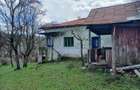 Casa + 9800 mp teren, Cotmeana -Arges, zona verde, potential turistic - 6