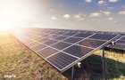 Teren 22.400 mp - Ideal Fotovoltaic - Deschidere Mare - 0% Comision - 4