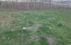 Teren de 1000 mp, în Lunca Cetățuii - 5