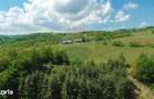 De vanzare casa cu teren ?i padure 55706 mp - ?inteu, Valea Tarnei - 2