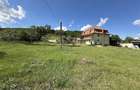Vand casa mare+65 arii teren intravilan