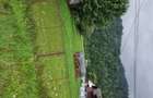 Bucovina Teren Pensiune, Vama, Brazi - 2