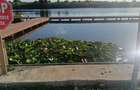 TEREN LA LAC| IZVORANI 900 MP |DE LA 125.000 | PONTON + LOC DE BARCA