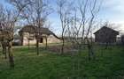 Casa Asuaju de Sus, 47 ari teren, investitie, necesita renovare - 5