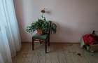 Casa 3 camere libera la vanzare GHIMBAV - 10
