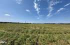 Teren de vanzare 4700 mp in Suceava - 5