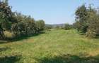 Vand casa Valea Muresului, sat Lalasint - 4