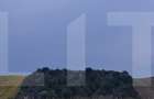 Teren extravilan, plantație de cătină 17.300 mp, comuna Unțeni