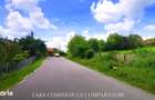 TEREN 19.822 MP, CADRU NATURAL MINUNAT - 11