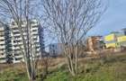 Teren bd Tudor Vladimirescu 170mp Bucuresti sector 5 - 3