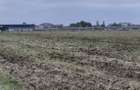 Teren Balotesti-Therme, 18500 euro - 5