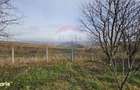 Teren extravilan 10,791mp Falticeni / Strada DJ209A, Opriseni