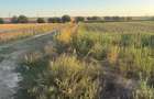 Teren intravilan 4.003 mp Frecatei, Tulcea - drum pe 3 laturi, curent, proprietar - 6