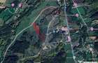 Teren Rasnov, Valea Panicelului 4253mp, izvor pe teren - Rasnov (Brasov)