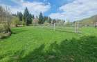 Vindem teren intravilan in Pojorata - Suceava - Bucovina - 7