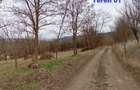 Fundatura, 25 km de Cluj, toate utilitatile, liniste, verdeata - 4