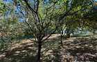 Vila in Faget, zona Vila Tusa, 400 mp, 2412 mp teren
