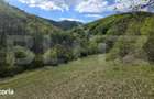 Teren extravilan, 9.083 mp, peisaj superb si liniste totala, zona Mete - 5