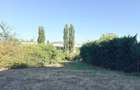 Teren intravilan 1803 mp de vanzare la intrare in Baile Felix