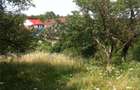 Vand teren in Tropini - 4