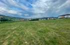 Teren intravilan 5.800 mp de vânzare – Corusu- ideal pentru investi - 4