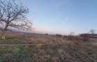 Vand teren intravilan 1.100 mp in Cenad judetul Timis 8 / mpTimis - 10