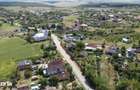 Casa spa?ioasa ?i primitoare in Viile Satu Mare zona Dealu Mare - 16