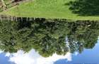 Vand teren superb intravilan in Bistra Muresului, 25.000 EUR - 3