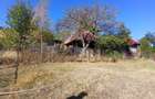 2 Case + teren 500 mp, C.F. in Muntele Rece, 22000 euro - negociabil
