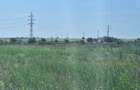 OCAZIE! EFORIE NORD, TEREN DE 1.666 MP, PRET 185.000 EURO - 5