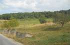 Teren de 55000 mp, în Slănic - 5
