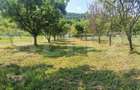 Două case, 160 mp, garaj, 1.370 mp de teren, zona Lesnic