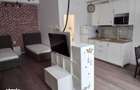 Apartament tip Studio , la 5 min de UMF, 525 Euro/luna