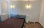 Vila /apartament cu piscina Buftea - 4