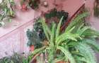 Apartament 3 camere de vanzare in zona Centrala - 18