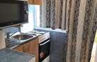 Inchiriez apartament cu 1 camera in Nufarul - 5