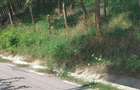 Teren de 2030 mp, în Rădăcinești