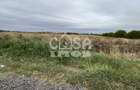Teren intravilan 15000 mp oportunitate business - 3