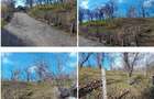 Teren cota parte 1/2, Sat Vistieru, ID: R2809860 - 11
